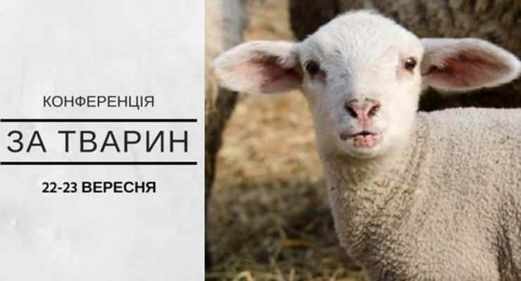 В Украине состоится первая зоозащитная конференция