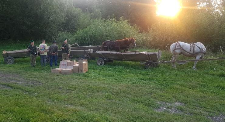 Конный караван с сигаретами: буковинские пограничники задержали контрабанду