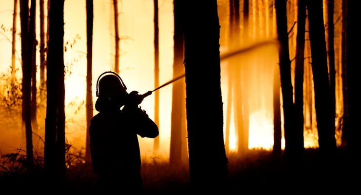 В Германии из-за лесного пожара эвакуировали сотни людей