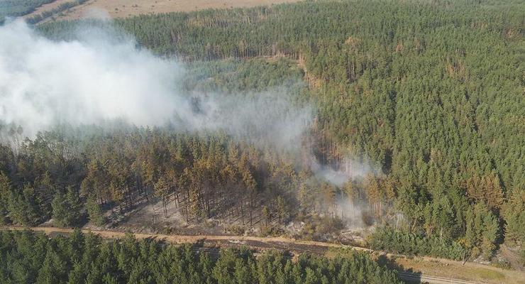 В Харьковской области тушат лесной пожар