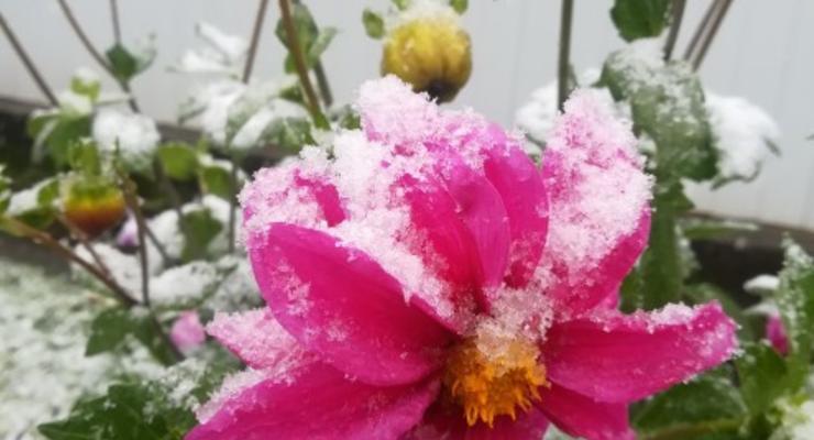 В Красноярском крае РФ выпал первый снег
