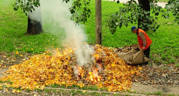 В Киеве будут штрафовать за сжигание листьев