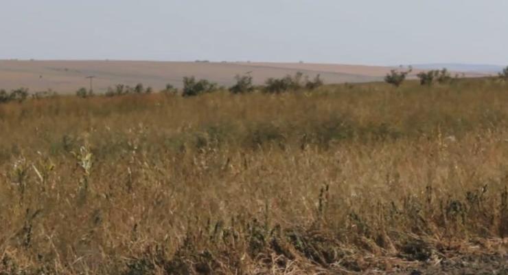 В Тернопольской области 250 человек отравились после обрызгивания полей