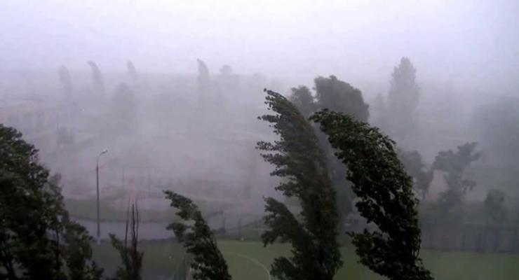 Непогода обесточила более 200 населенных пунктов Житомирской области