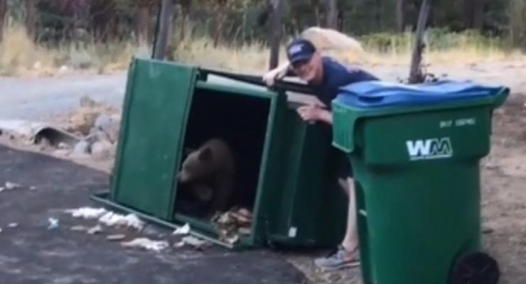 В США спасли медвежат, которые застряли в мусорнике