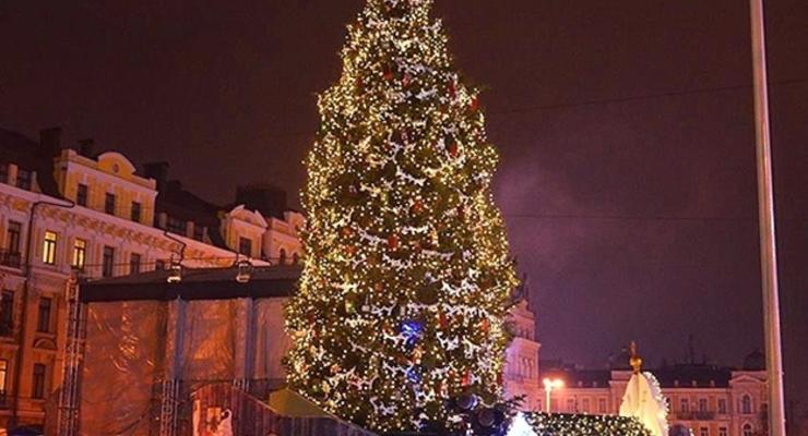В Киеве определились, какой будет главная елка страны