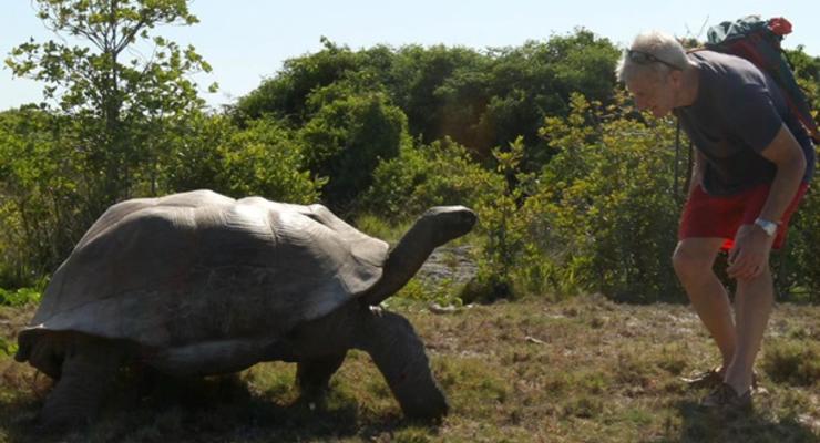 На Галапагосских островах украли более сотни гигантских черепах