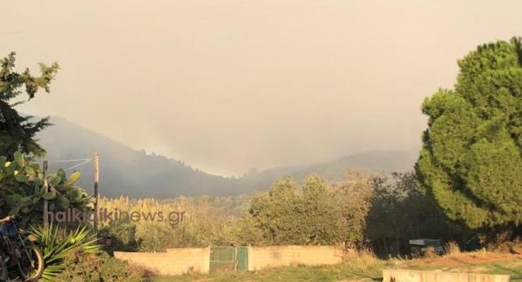 На севере Греции вспыхнули лесные пожары