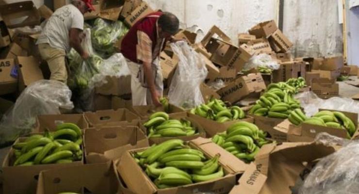 В Испании в бананах нашли шесть тонн кокаина