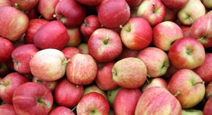 В Беларуси задержали украинца за поставки яблок и помидоров в РФ