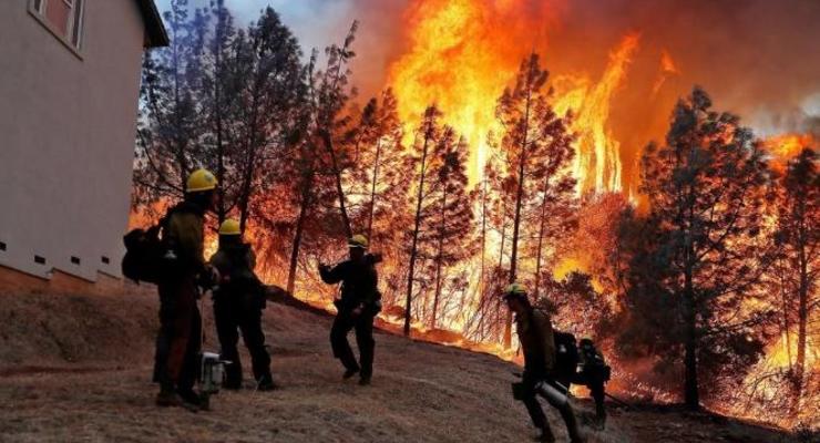В Калифорнии эвакуировали 50 тысяч человек из-за лесного пожара