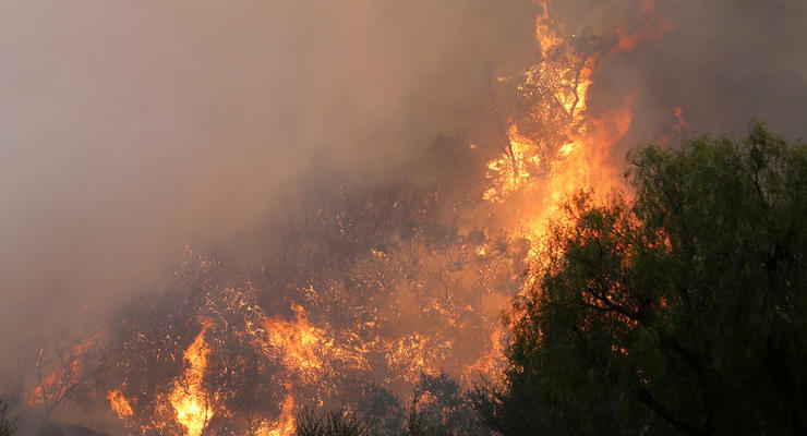 Лесные пожары в Калифорнии: Трамп объявил режим ЧС