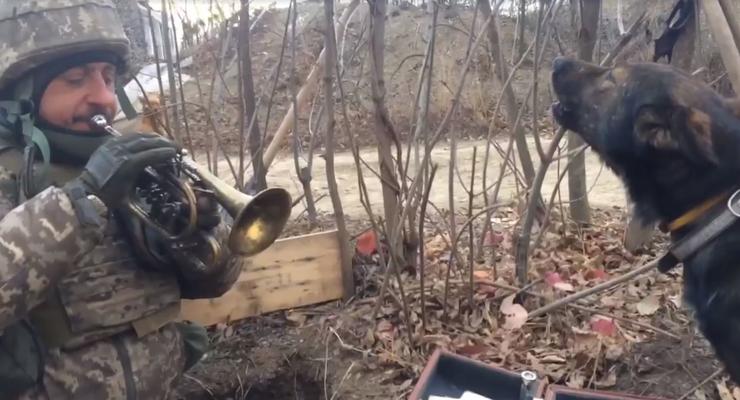 Журналист показал видео из Донбасса с "поющим" псом в рядах ВСУ