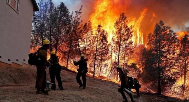 Число жертв лесных пожаров в Калифорнии возросло до 58