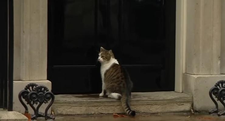 Полисмен открыл дверь коту британского премьера