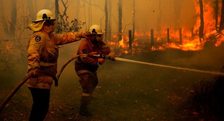 В Австралии тушат масштабные лесные пожары