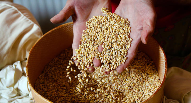 Прикарпатские чиновники украли зерна и муки на 15 млн грн
