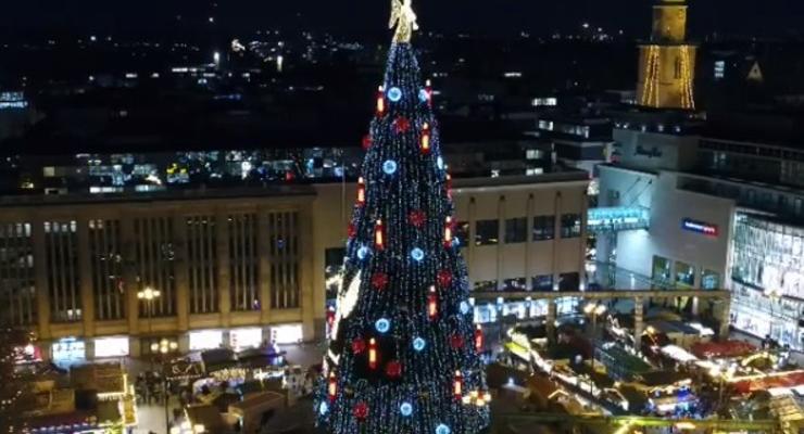 В Германии установили самую высокую рождественскую елку