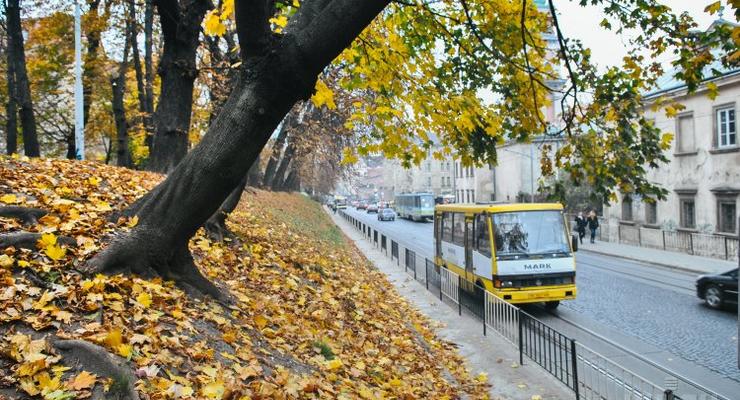 Осень в Украине побила 8 температурных рекордов