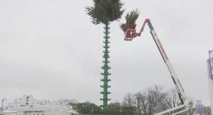 В Киеве устанавливают новогодние елки