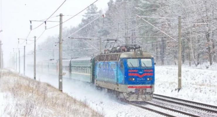 Задерживаются поезда: Под Киевом дерево оборвало сеть