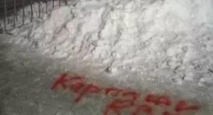 Ирпенский горсовет случайно опубликовал генплан Очакова: Люди выразили протест на снегу