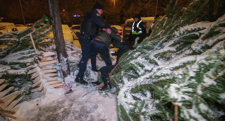 В Киеве пытались украсть елку: Подрались на ножах и топорах