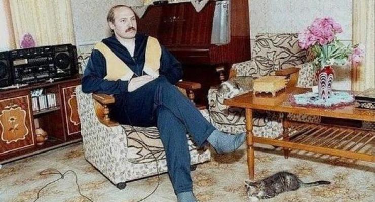 Спикер Лукашенко рассказала о его домашних котах