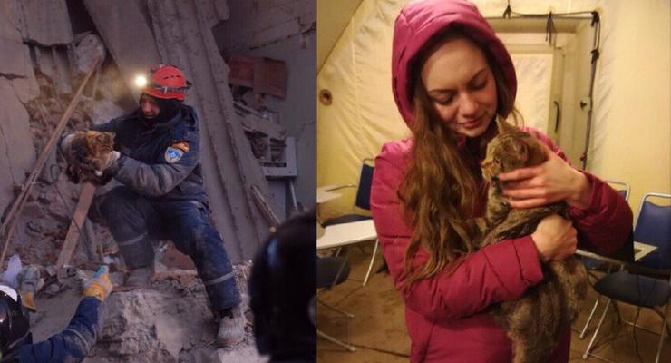 ЧП в Магнитогорске: из-под завалов дома спасли животных