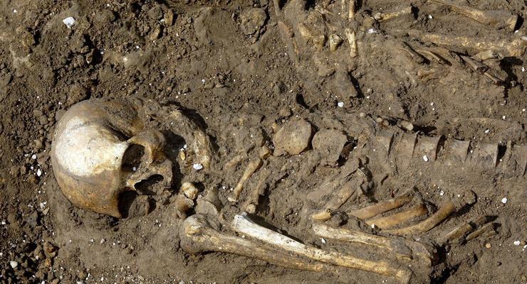 В Одесской области обнаружили человеческий скелет