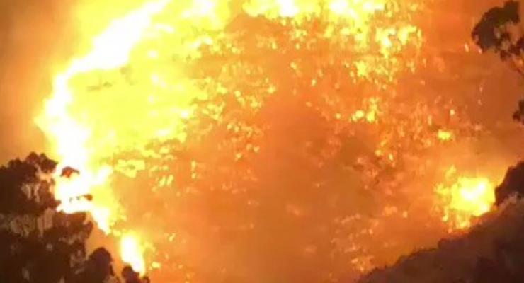 В ЮАР вспыхнули лесные пожары