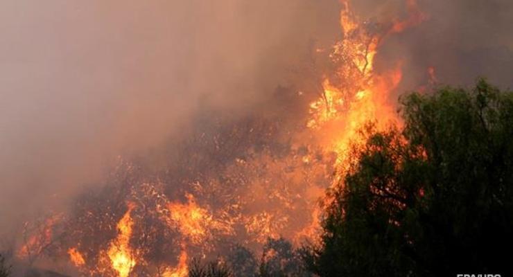 В Новой Зеландии начался масштабный лесной пожар