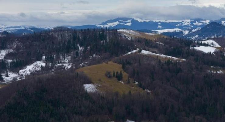 Украина и ЕС обсудили отмену запрета на вывоз леса