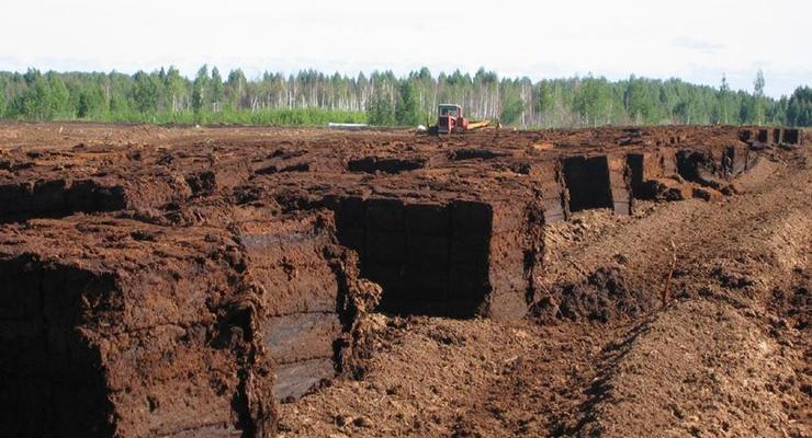 Экс-главу филиала Житомирторф подозревают в незаконной добыче ископаемых