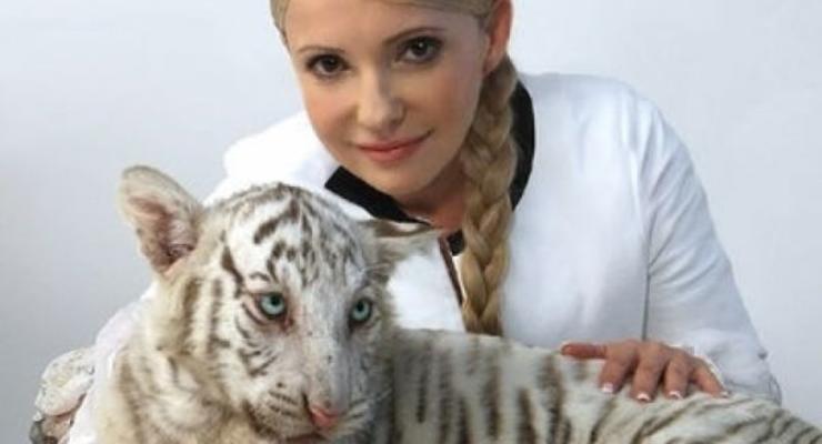 В ялтинском зоопарке "Сказка" умерла знаменитая тигрица Тигрюля