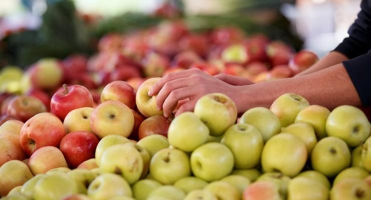 Яблоки снижают риск развития рака - Супрун