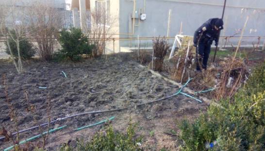 Под Одессой взорвали гранату во дворе жилого дома