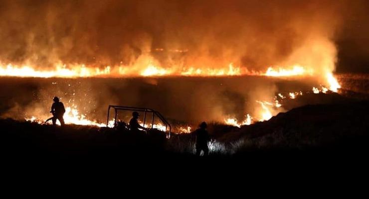 В Британии вспыхнули масштабные лесные пожары