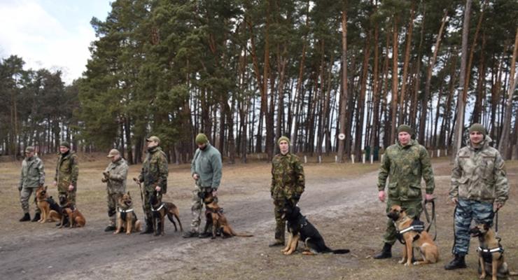 Пограничники показали, как готовят собак в спецназ