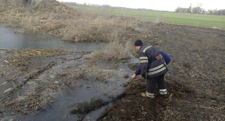 В Киевской области нашли тело женщины в пруду