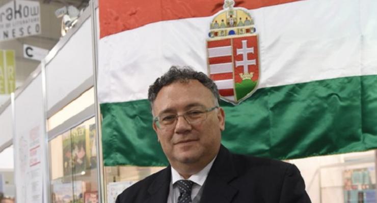 Посол Венгрии: "Мы не формируем союз против Украины"