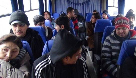 В Украине посчитали беженцев из других стран