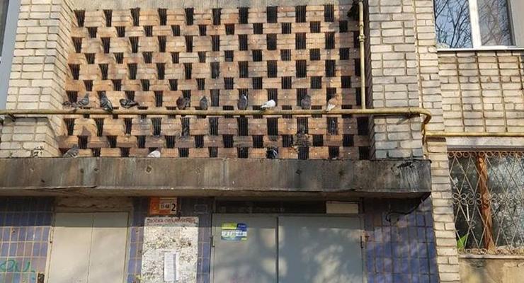 Голубей замуровали в стену многоэтажки в Бердянске