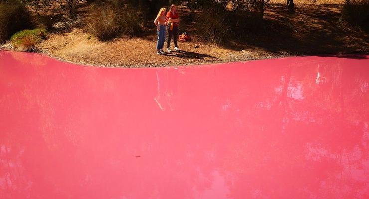 В Австралии одно из озер стало розовым