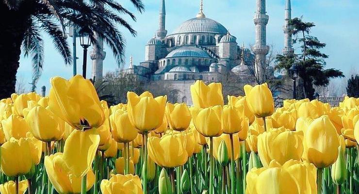 В Стамбул привезли 13 млн тюльпанов на фестиваль