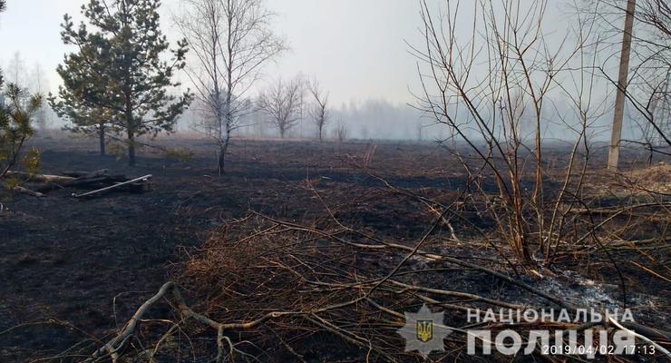 Окурки, брошенные "черными археологами" стали причиной масштабного пожара в зоне ЧАЭС