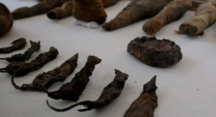 В древней гробнице Египта нашли мумии мышей и других животных - фото