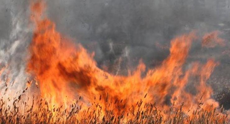 В Житомирской области погибли супруги, сжигая траву