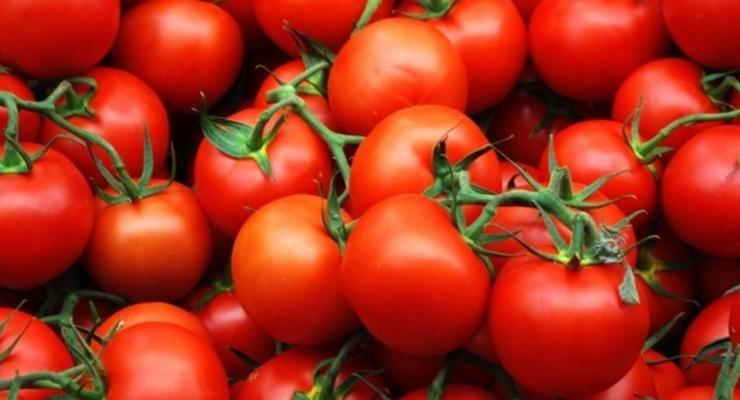 В Украину из Турции завезли зараженные помидоры