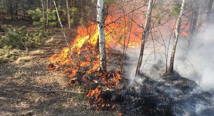 Из Беларуси на Украину надвигаются лесные пожары